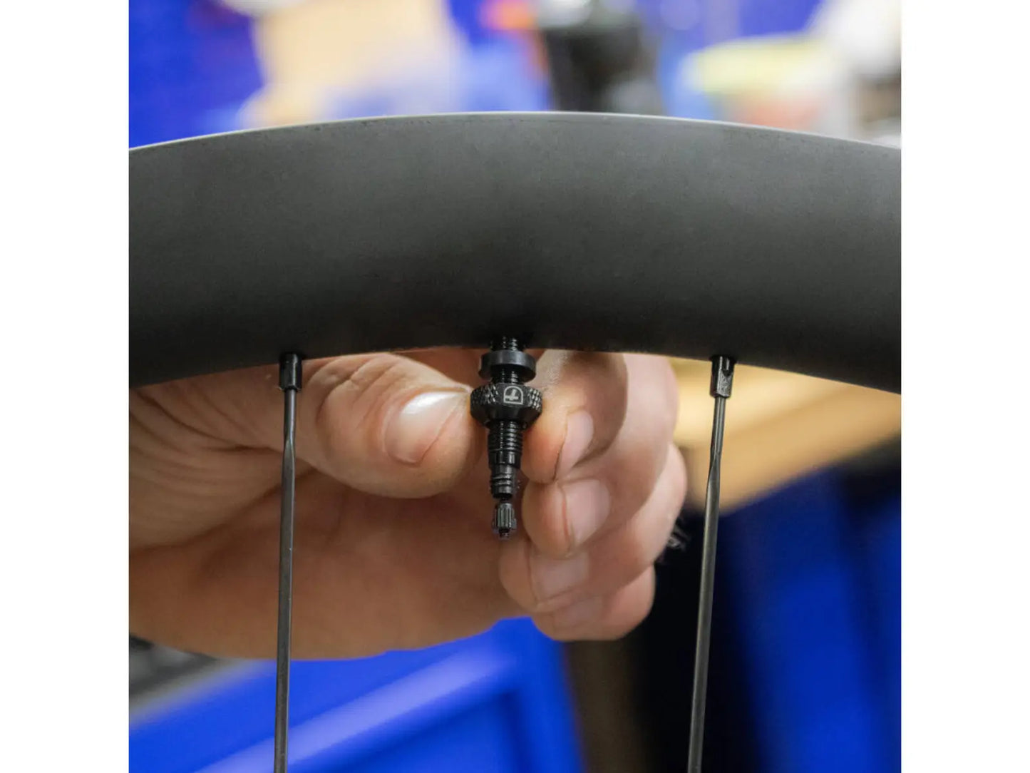 Trivio Tubeless Ventiel